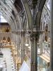 http://www.travelingshoe.com/photos/oxford/natural_history_museum/Library - 02052.jpg