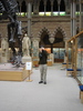 http://www.travelingshoe.com/photos/oxford/natural_history_museum/Natural History Museum - 21.jpg