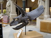 http://www.travelingshoe.com/photos/oxford/natural_history_museum/Natural History Museum - 27.jpg