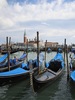 http://www.travelingshoe.com/photos/italy/venice/(mt) Venice-3.jpg