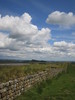 http://www.travelingshoe.com/photos/wilmers/housesteads/Hadrian's Wall-13.JPG