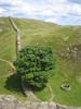 http://www.travelingshoe.com/photos/wilmers/housesteads/Hadrian's Wall-18.JPG