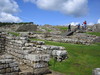 http://www.travelingshoe.com/photos/wilmers/housesteads/Hadrian's Wall-5.JPG