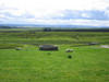 http://www.travelingshoe.com/photos/wilmers/housesteads/Hadrian's Wall-6.JPG