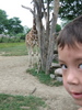 http://www.travelingshoe.com/photos/indiana/zoo/Indianpolis Zoo-6.JPG