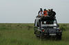 http://www.travelingshoe.com/photos/Masai Mara Day 1-25.jpg