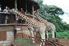 http://www.travelingshoe.com/photos/Masai Mara Day 1-5.jpg