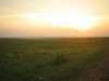 http://www.travelingshoe.com/photos/Masai Mara Day 3-0.jpg