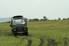 http://www.travelingshoe.com/photos/Masai Mara Day 3-36.jpg