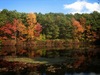 http://www.travelingshoe.com/photos/Walden Pond-13.jpg