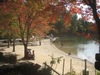 http://www.travelingshoe.com/photos/Walden Pond-18.jpg