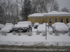 http://www.travelingshoe.com/photos/williams/winter2005/Winter 2005-6.JPG