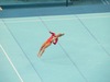 http://www.travelingshoe.com/photos/Beijing Olympics - Gymnastics-9.jpg