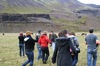 http://www.travelingshoe.com/photos/Icelandic Horses-0.jpg