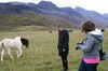 http://www.travelingshoe.com/photos/Icelandic Horses-16.jpg