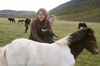 http://www.travelingshoe.com/photos/Icelandic Horses-6.jpg