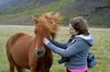 http://www.travelingshoe.com/photos/Icelandic Horses-8.jpg