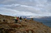 ../../photos/iceland-vatnsfjordur-19.jpg
